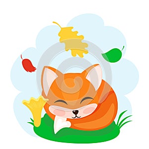 Adorable autumn bright fox, smiling and winking, sitting on a lawn, isolated on white background. Cute orange forest animal