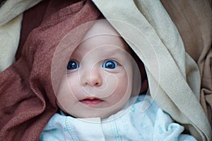 Adorable baby boy in bedroom. Newborn infant child relaxing in bed