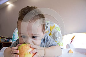 Adorable baby boy eating apple. first food for babies 10 months. toddler boy learning to live with teeth solid food