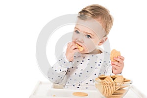 adorable baby boy eating cookies sitting in highchair