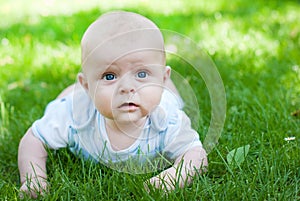 Adorable baby boy on green grass in summer