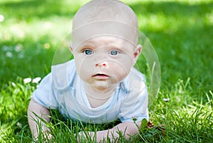 Adorable baby boy on green grass in summer