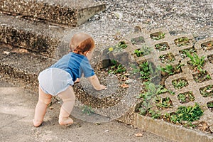 Adorable baby boy playing outside