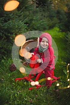 Adorable baby boy in the red knit jumpsuit and Santa hat  and holding rocking-horse with pine trees on the background