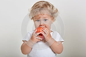 Adorable baby eating red apple isolated over white background, child looking at camera while biting fruit, wearing t shirt, cute