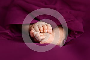 Adorable baby feet on a raspberry background, maternity and babyhood concept