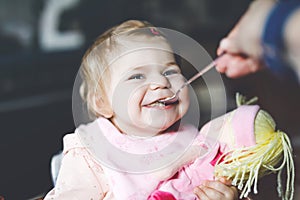 Adorable baby girl eating from spoon mashed vegetables and puree. food, child, feeding and people concept -cute toddler
