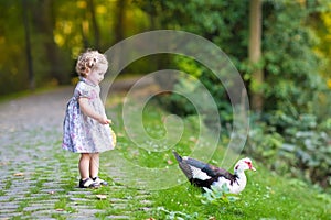 Adorable baby girl in festive dress with wild duck