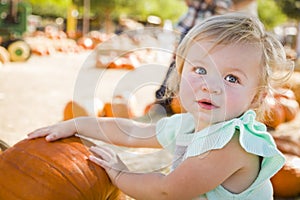 Adorable Baby Girl Having Fun at the Pumpkin Patch