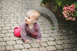 Adorable baby girl playing outside