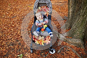 Adorable baby girl sitting in stroller with bunch of red maple leaves