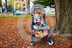 Adorable baby girl sitting in stroller with bunch of red maple leaves