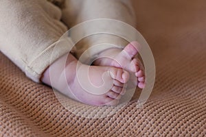 Adorable baby legs, Newborn baby feet, babyhood concept.