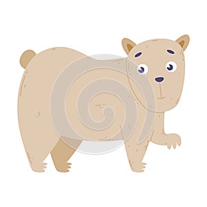 Adorable baby polar bear. Lovely wild animal. Cute childish print for banner, card, t-shirt cartoon vector illustration