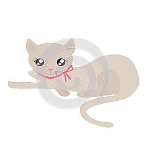 Adorable Beige Kitty Cat