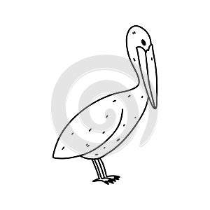 Adorable bird with big beak in hand drawn doodle style. Funny chick. Vector illustration. Pelican.