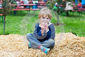 Adorable blond kid boy eating hot dog outdoors