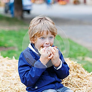 Adorable blond kid boy eating hot dog outdoors