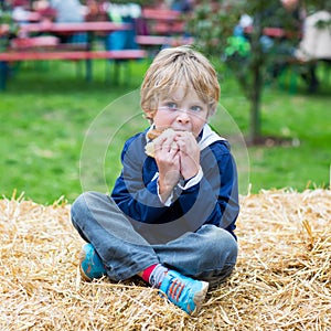 Adorable blond kid boy eating hot dog outdoors