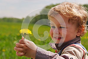 Adorable boy with dandelion in hand