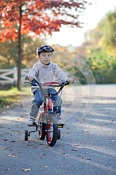 Adorable boy in the park, with his bike, learning to ride