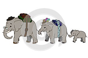 Adorable cartoon illustration whole elephant family