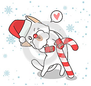 Adorable cat character is wearing a hat and gloves with a candy in Christmas day