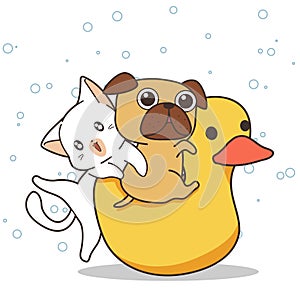 Adorable cat and dog are riding the duck