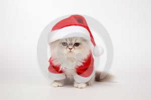 adorable cat in santa claus costume brings holiday cheer, Generative AI