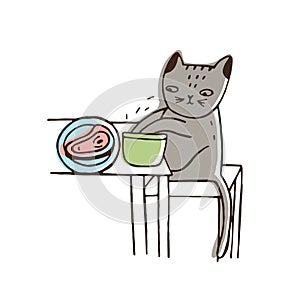 Adorable cat stealing food from plate lying on table and eating it. Funny naughty kitty isolated on white background