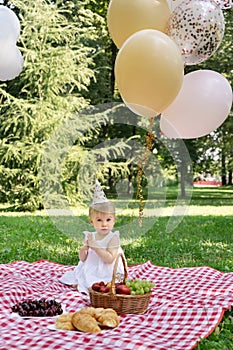 Adorable caucasian blonde baby looking at camera celebrating first birthday outside at picnic in summer park on plaid