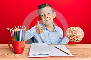 Adorable caucasian kid holding brain while studying for school smiling happy and positive, thumb up doing excellent and approval