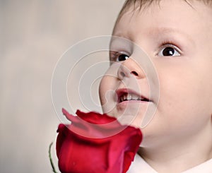 Adorable cherubic little boy with a red rose photo