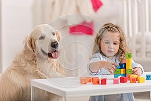 adorable child playing with educational cubes, golden retriever sitting near table