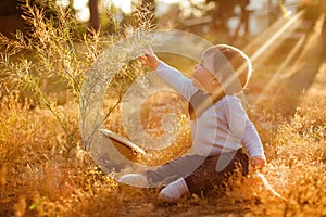 Adorable chubby little baby boy sitting in the grass and reaching into the Bush on the sunset sunlight