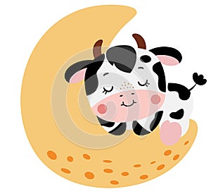 Adorable cow sleeping on moon