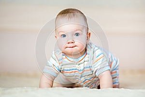 Adorable crawling baby boy indoors