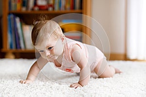 Adorable crawling baby girl`s portrait at home. Little funny girl lifting body and learning to crawl..