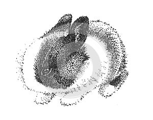Adorable cute bunny rabbit drawing