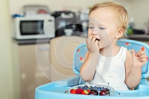 Adorable cute caucasian blond toddler boy enjoy tasting different seasonal fresh ripe organic berries sitting in highchair at home