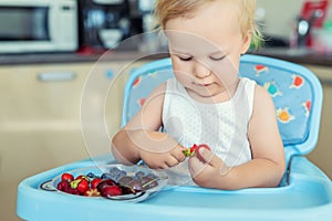 Adorable cute caucasian blond toddler boy enjoy tasting different seasonal fresh ripe organic berries sitting in highchair at home