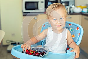 Adorable cute caucasian blond toddler boy enjoy tasting different seasonal fresh ripe organic berries sitting in highchair at home
