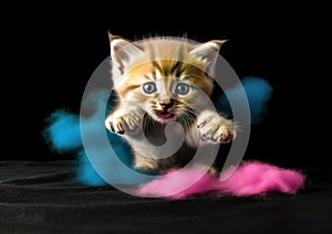 Adorable cute kitten dazzled by a colorful dust explosion and its glow.
