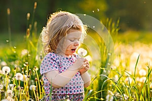 Adorable cute little baby girl blowing on a dandelion flower on the nature in the summer. Happy healthy beautiful