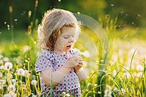 Adorable cute little baby girl blowing on a dandelion flower on the nature in the summer. Happy healthy beautiful