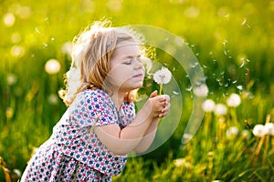 Adorable cute little baby girl blowing on a dandelion flower on the nature in the summer. Happy healthy beautiful