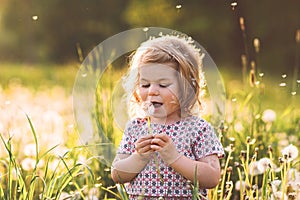 Adorable cute little baby girl blowing on a dandelion flower on the nature in the summer. Happy healthy beautiful