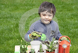 Adorable cute little kid boy wering gloves planting cactus in home`s garden on sunny summer day