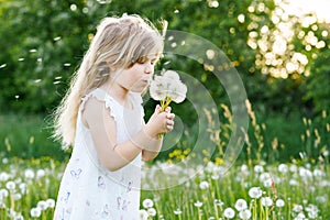 Adorable cute little preschool girl blowing on a dandelion flower on the nature in the summer. Happy healthy beautiful