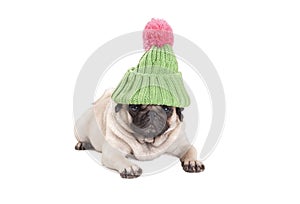 Adorable cute pug dog puppy lying down wearing knitted green hat with pink pompon, isolated on white background